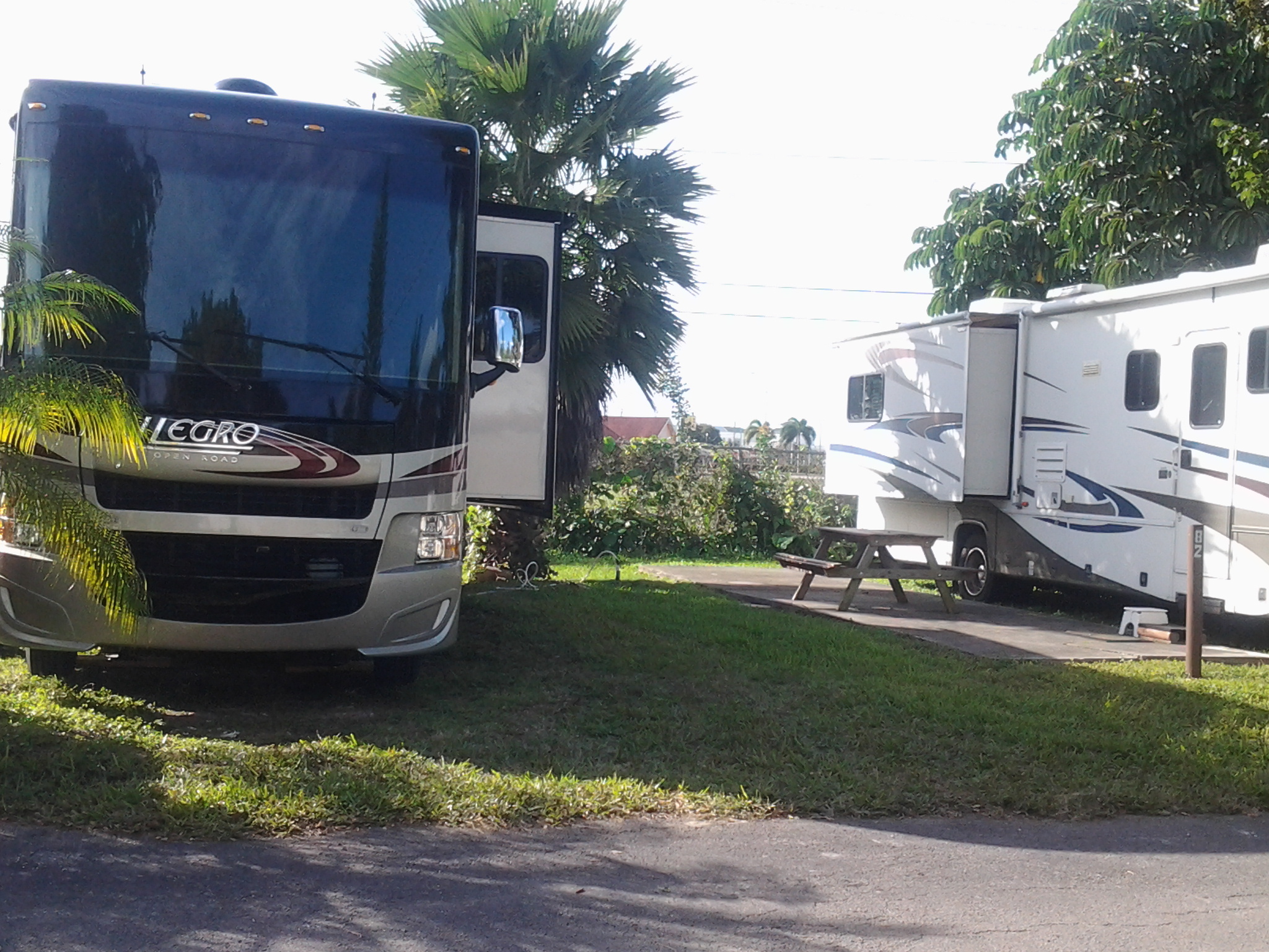 Gallery West Bay Oaks